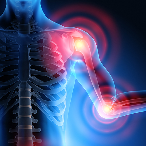 Shoulder & Elbow