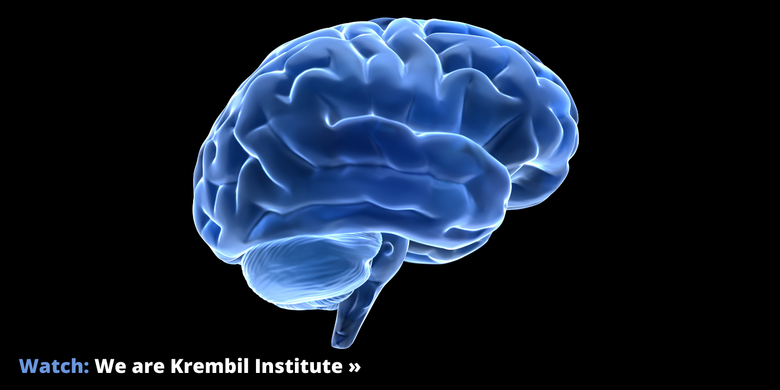 Brain