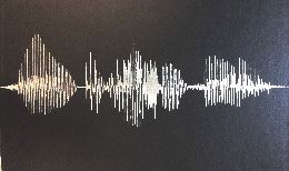 Audiology2